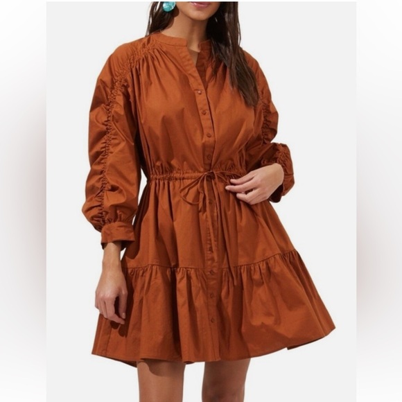 Astr The Label Ruched Flounce Shirtdress Long Sleeve Buttoned brown Small.  E32 - Picture 6 of 17